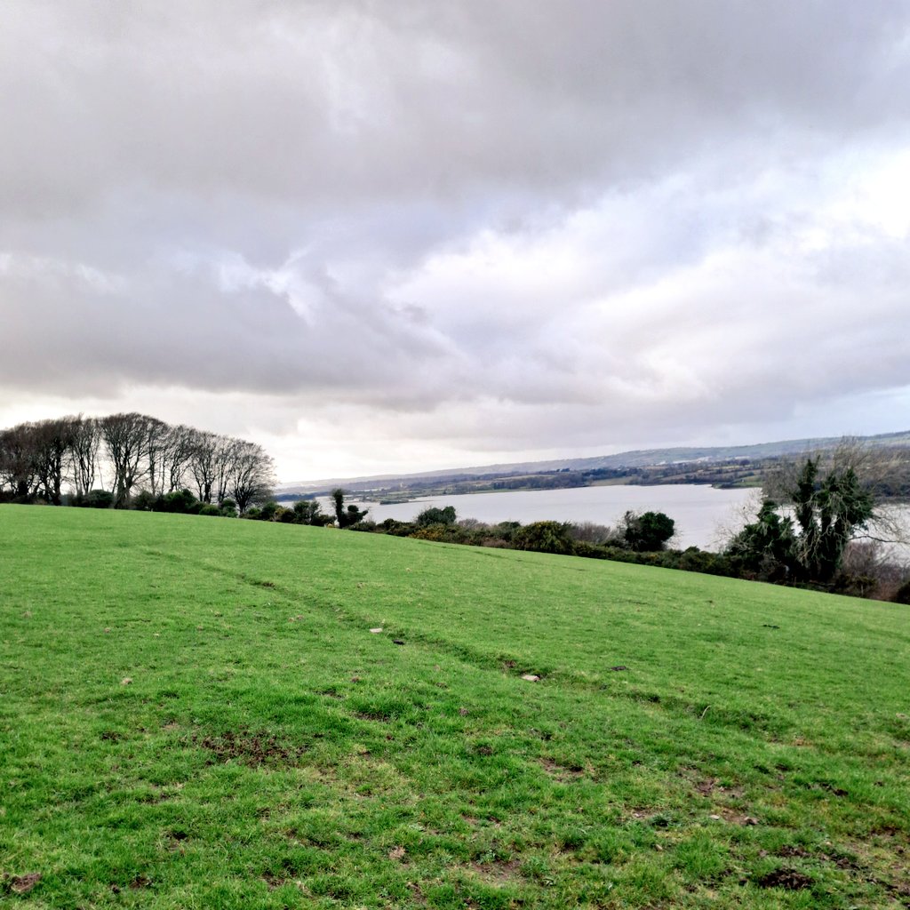 Lovely New Year's Day walk across the fields with Rua. Hopped gates, crawled under barbed wire, evaded cows, and all to the tune of birdsong that says 2026 has plenty of wonderful things to offer!

(Have faith, it's all beginning to happen.)