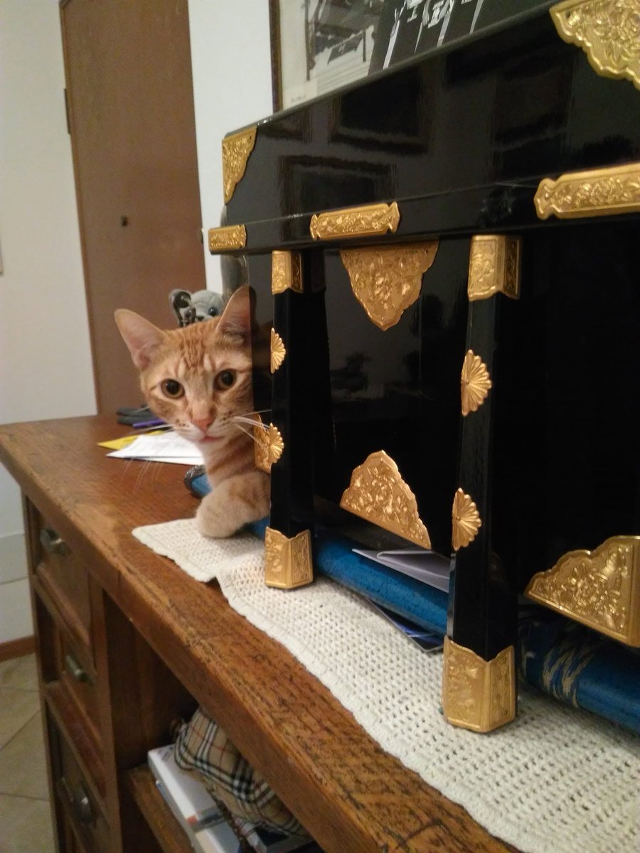 LadyLessien's tweet image. Had to leave my first fur son in 2025. The last day...
The same year I had my first human daughter.
🌈😿