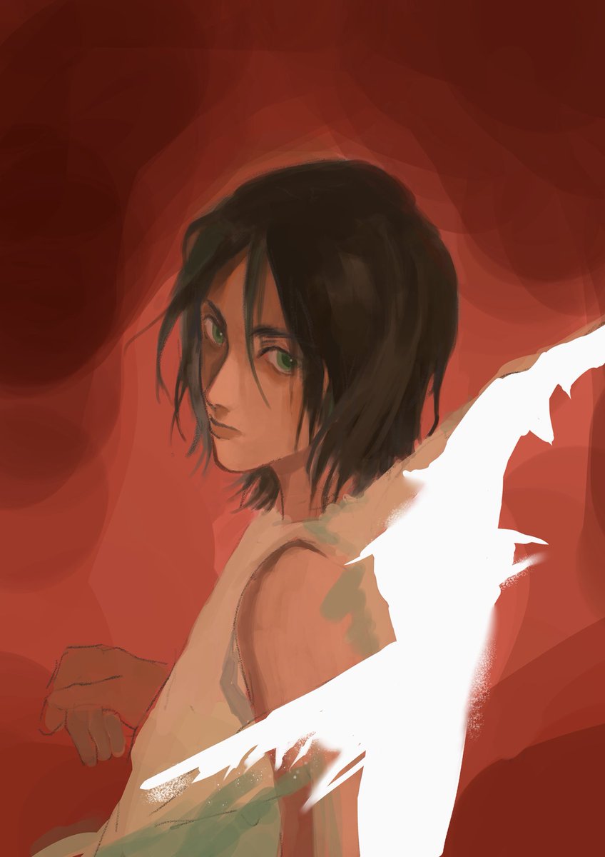 #aot  #ErenJaeger 16伦