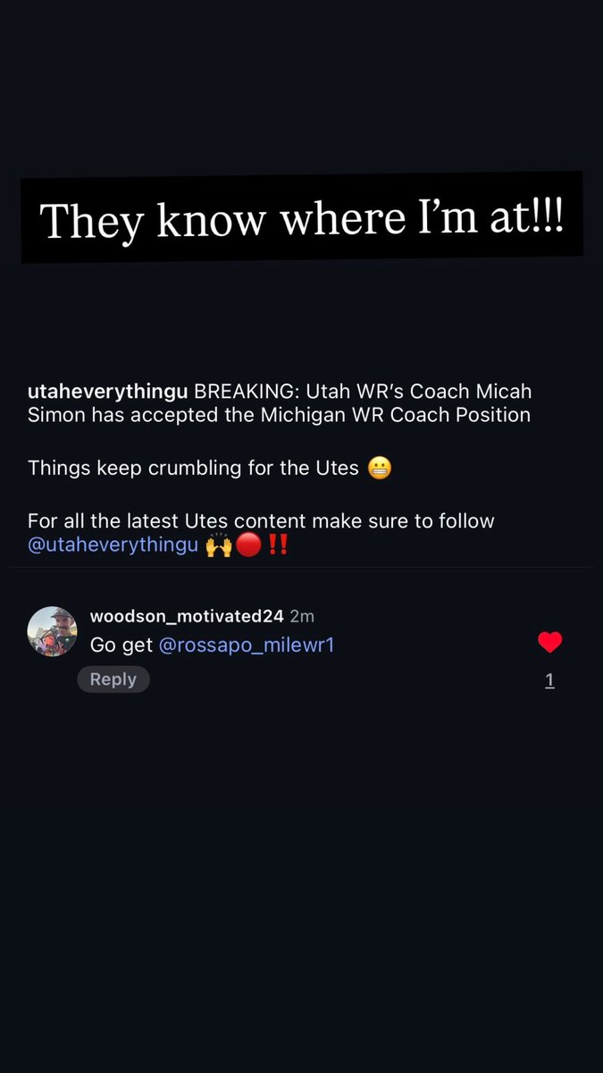 Ross Apo🇹🇴 tweet media