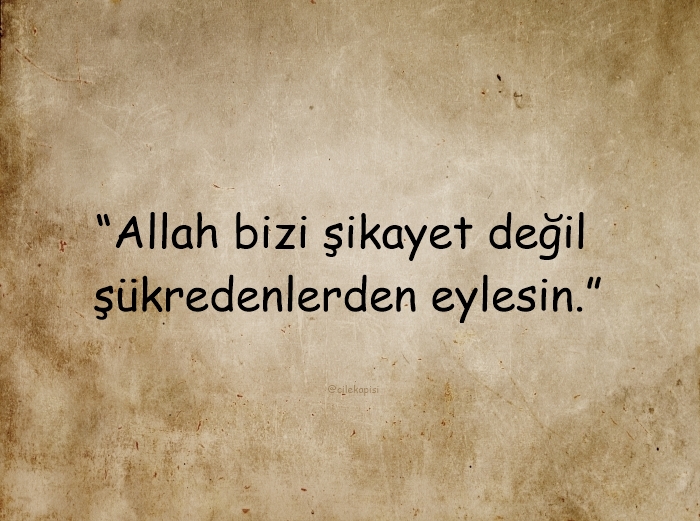 çilekapısı (@cilekapisi) on Twitter photo 
