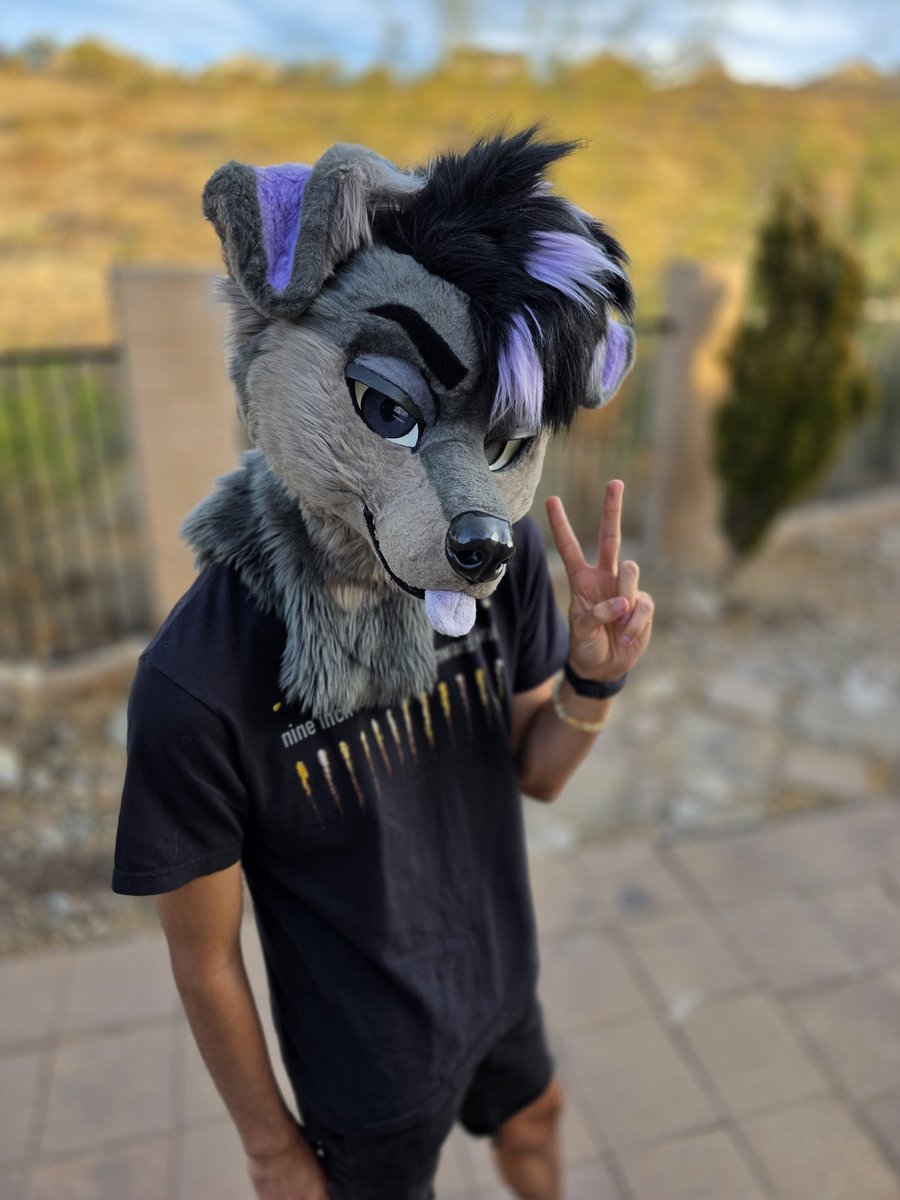 pleo 🌵 tweet media