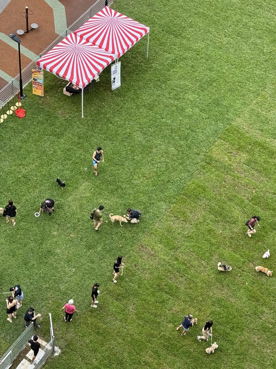 Victoria tweet media