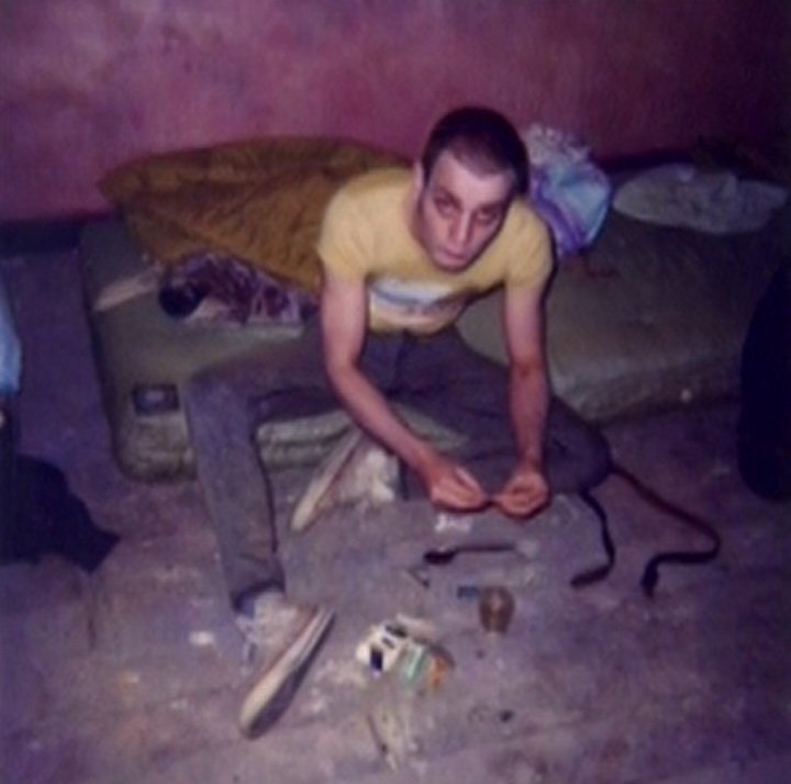 Disclaimer_II's tweet image. new year new me