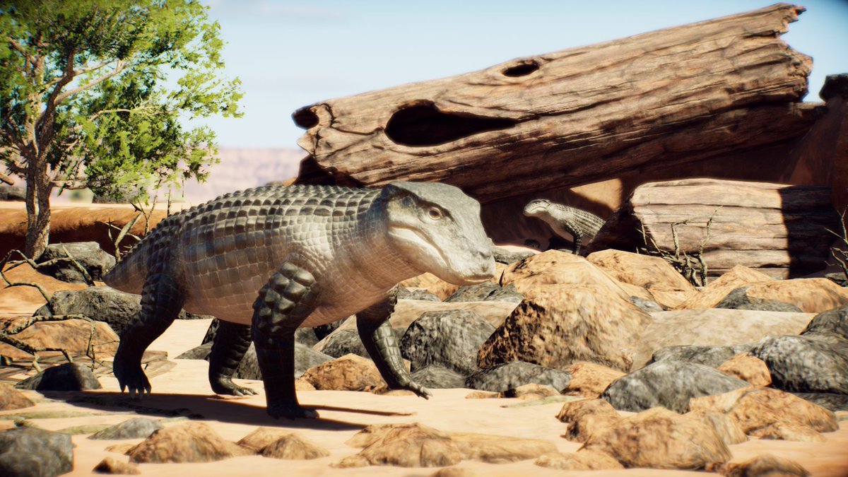 prehistoric fauna photography department 🦖 tweet media