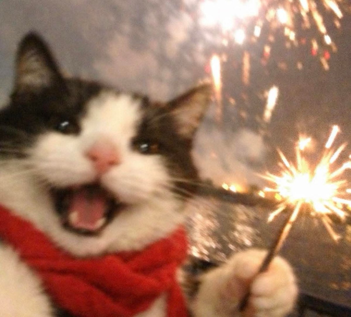 HAPPY NEW YEAR!!! 🚀🎆🧨✨