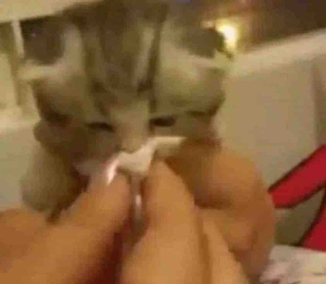 Guarromantico_'s tweet image. “Y cómo vas empezando el año?”

Yo: