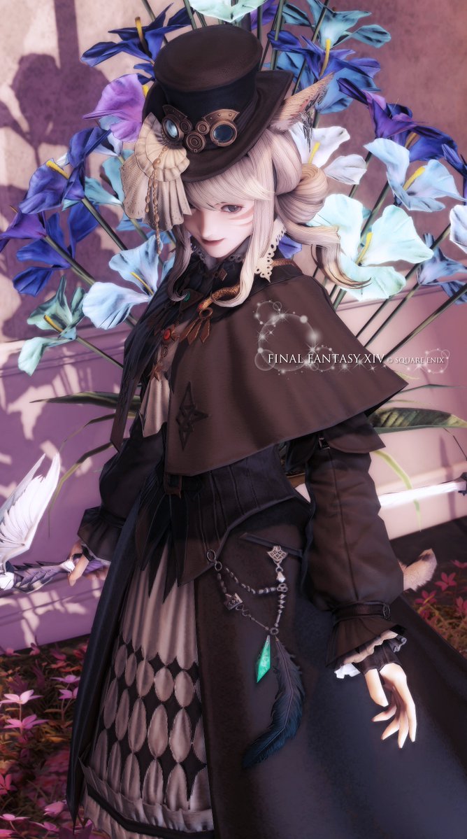 nekochannさん専用 ねこちゃん📸 @O_mori_neko