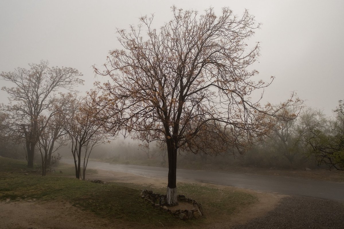 HighwayyChild's tweet image. January 1st.