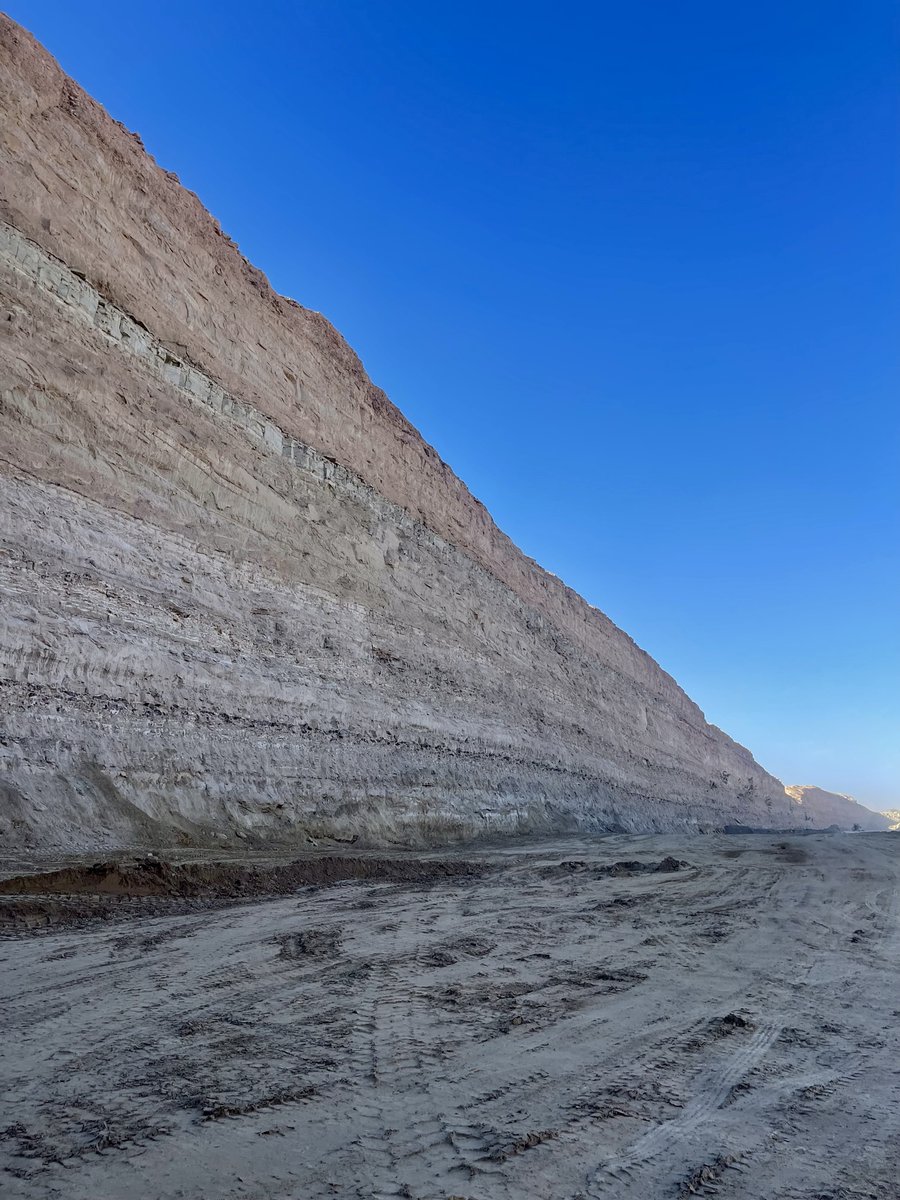 In 2025, 

We built and deployed AI agents for logistics, manufacturing, mining, and construction
Shipped document and process automation for heavy industries
Built custom operational software for real environments
WMS, TMS, mine tracking, large infrastructure tracking, control