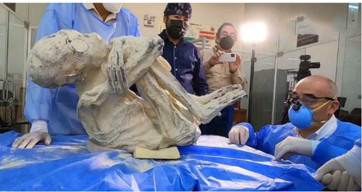 Gonzalo Chavez tweet media