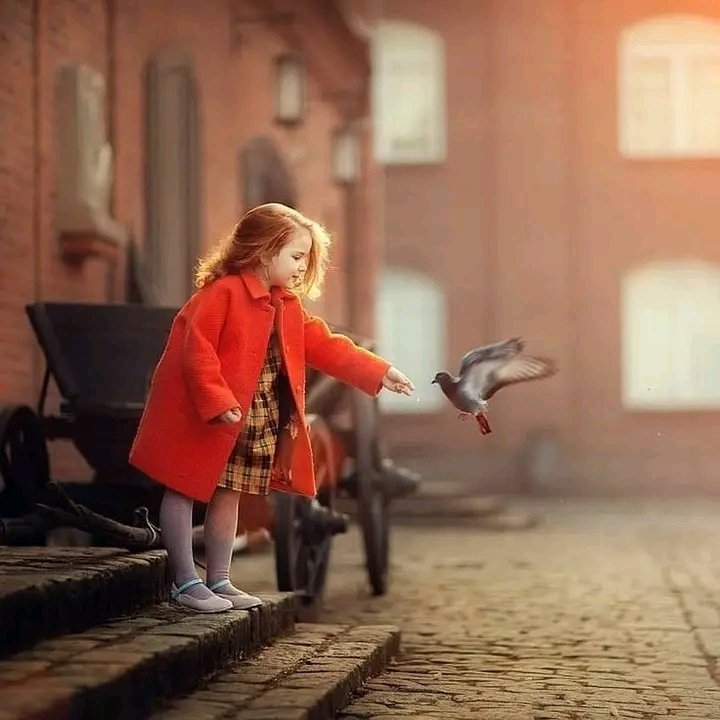 Aliaa.M. (@rhamaalia10169) on Twitter photo 