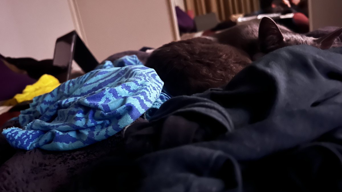 stuffymint's tweet image. Cleaning up this lower bed-mess,
anyone seen the cat?