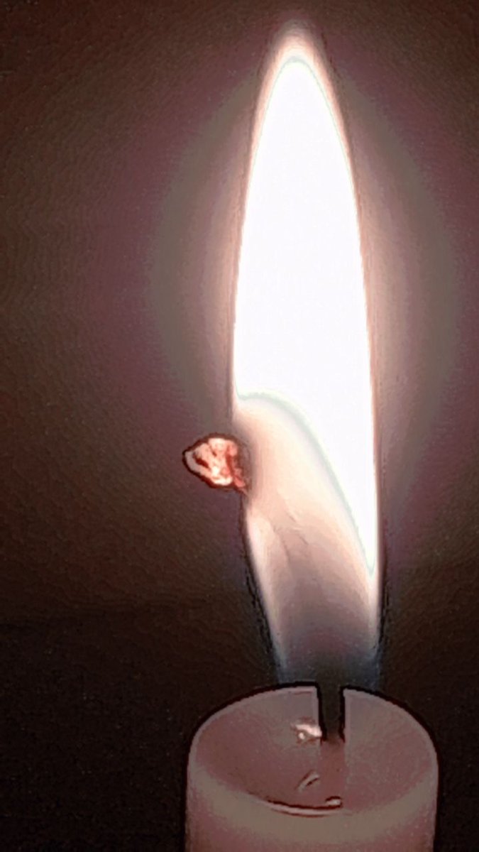 DECANABRIOS's tweet image. Bem singela.