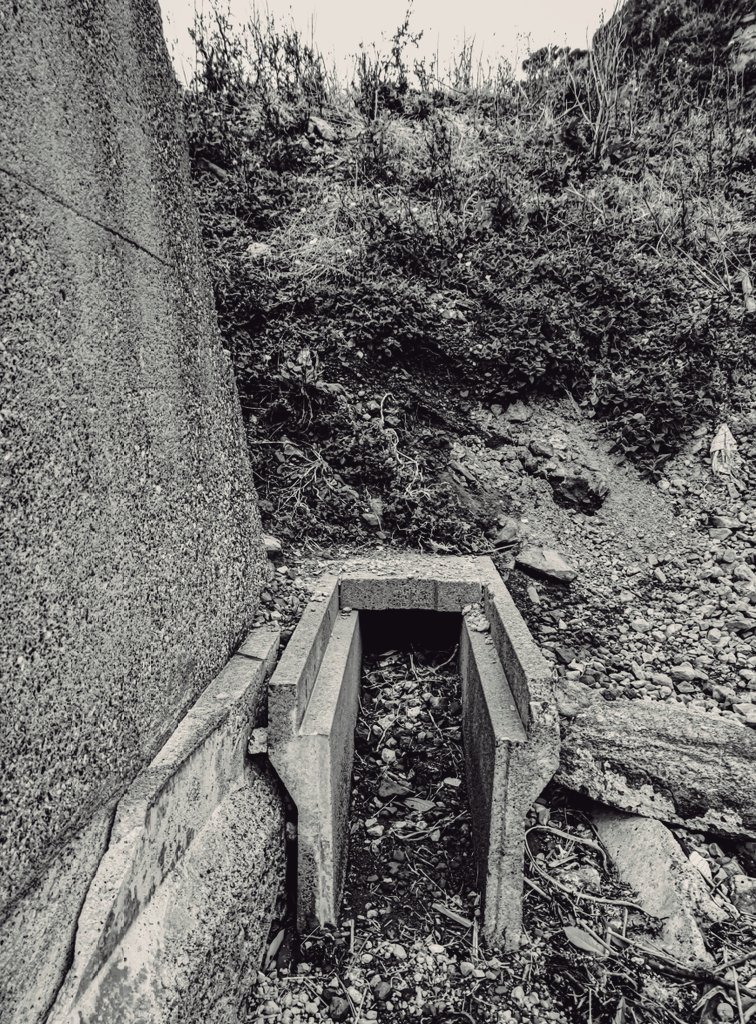 早乙女ボブ (@bob_saotome) on Twitter photo 