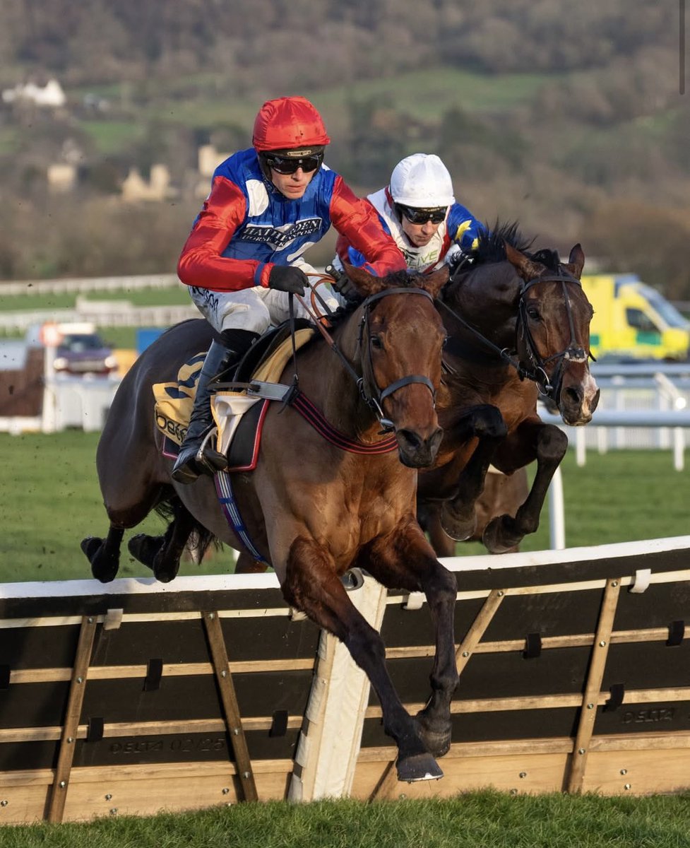 Emma Lavelle tweet media