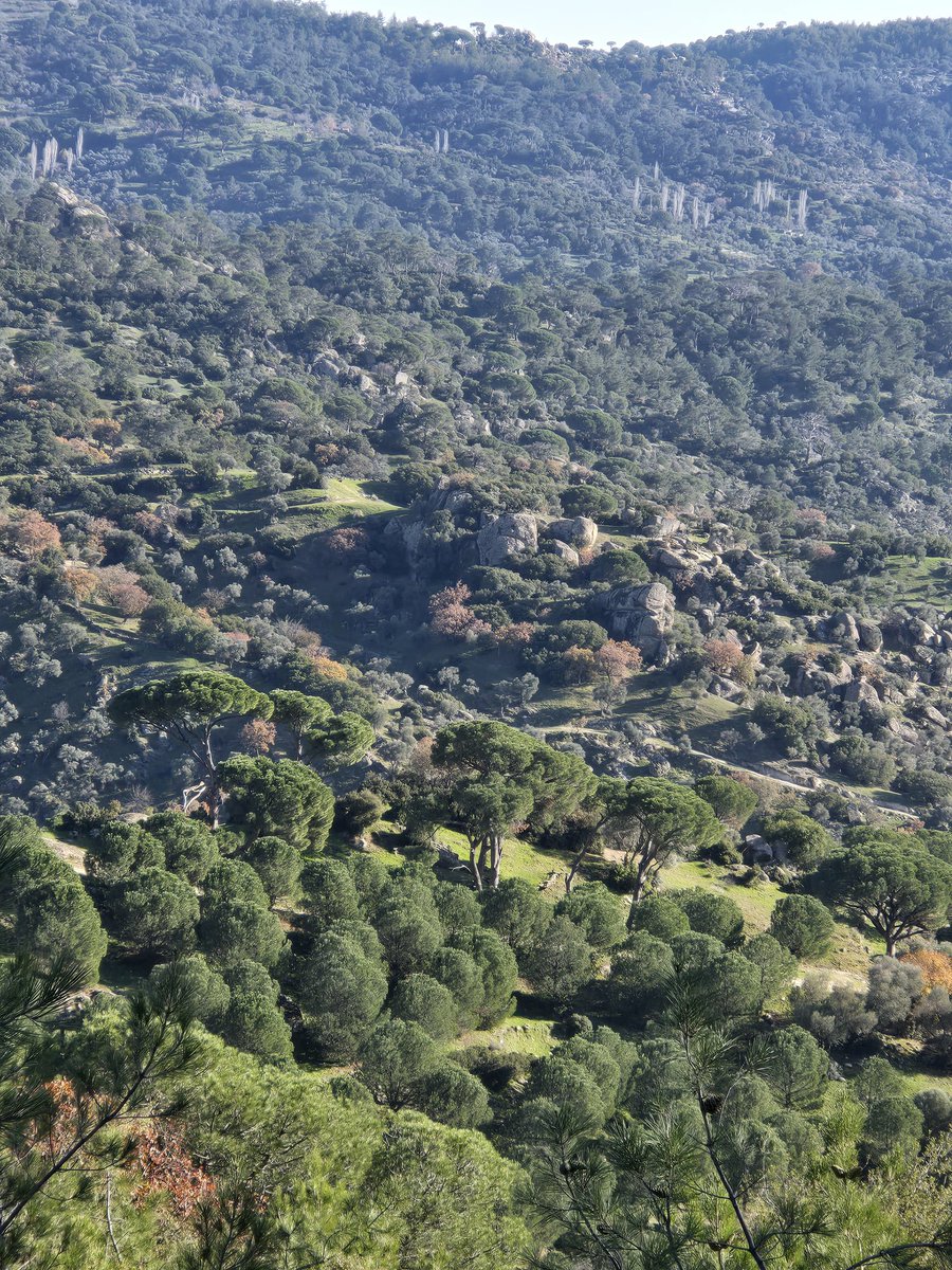 Bu alana zehirli kül atığı dökmek istiyorlar.