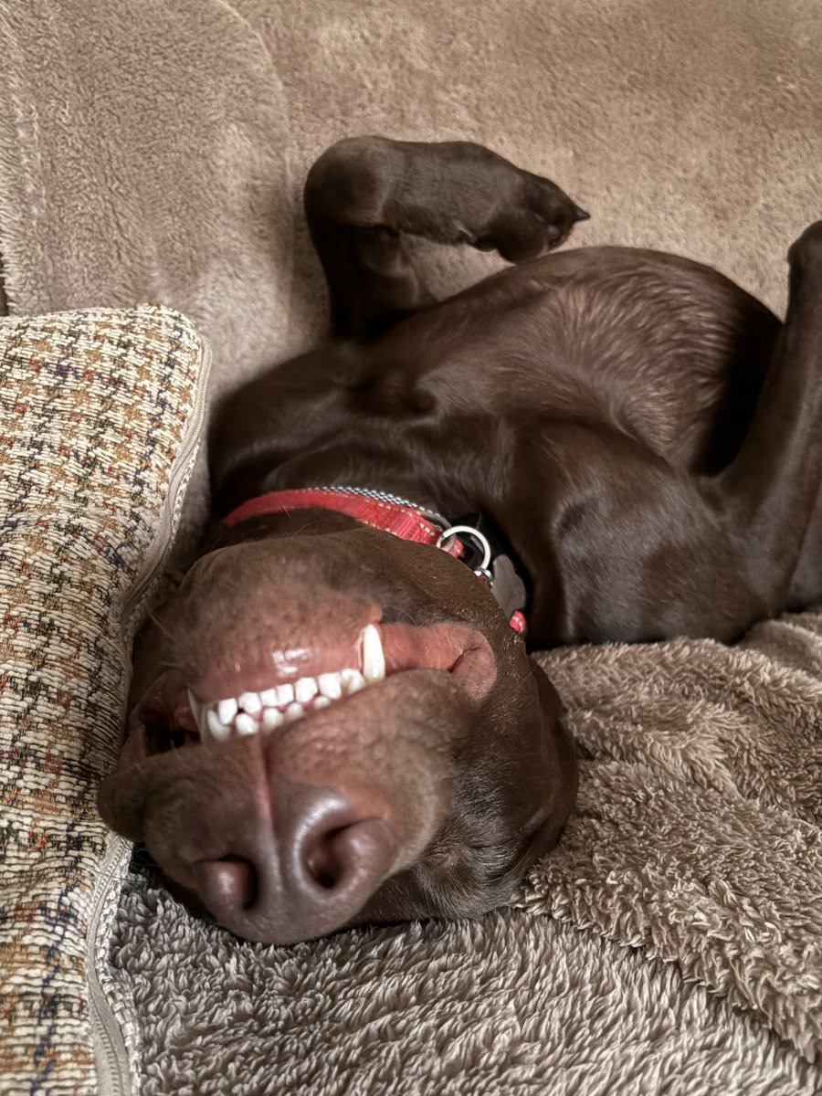 Young Bailey is knackered today😂