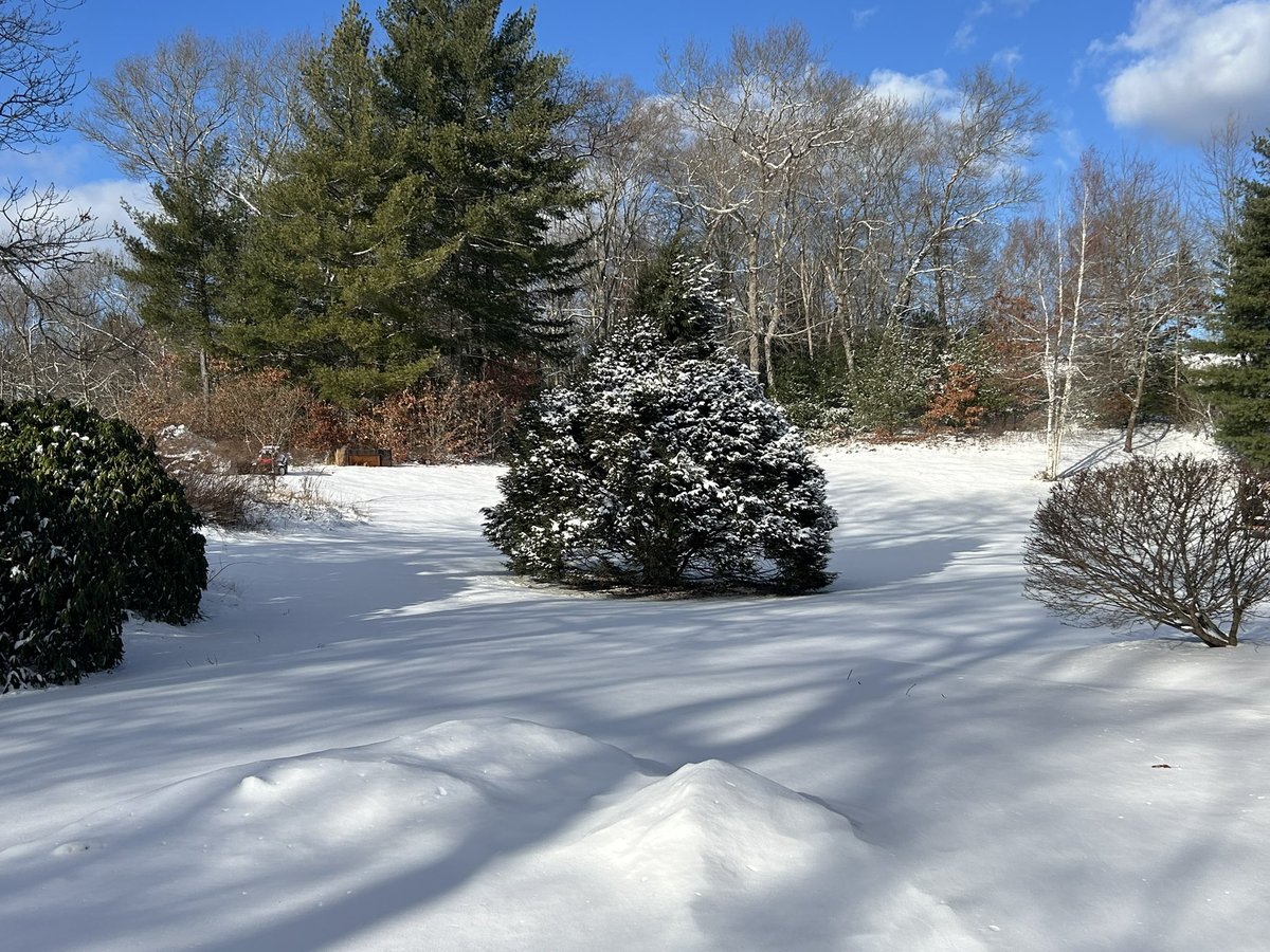 I’ve never been in Massachusetts during the winter time. What’s all this cold white stuff?