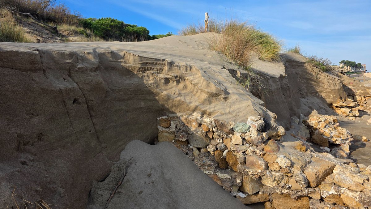 Jordi Rodoreda Rosàs tweet media