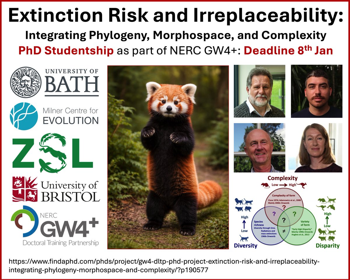 Matthew Wills tweet media