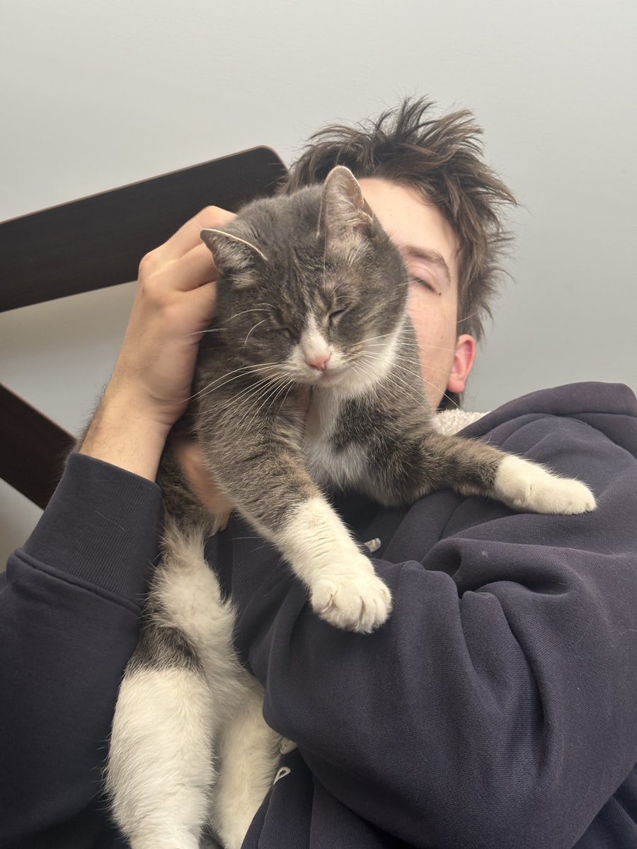djspookygib's tweet photo. rich in the way that my girl cat who hates everyone loves my autistic boyfriend and fell in love with him the first time they met (she’s just like me fr) https://t.co/hrTgnbGgHQ