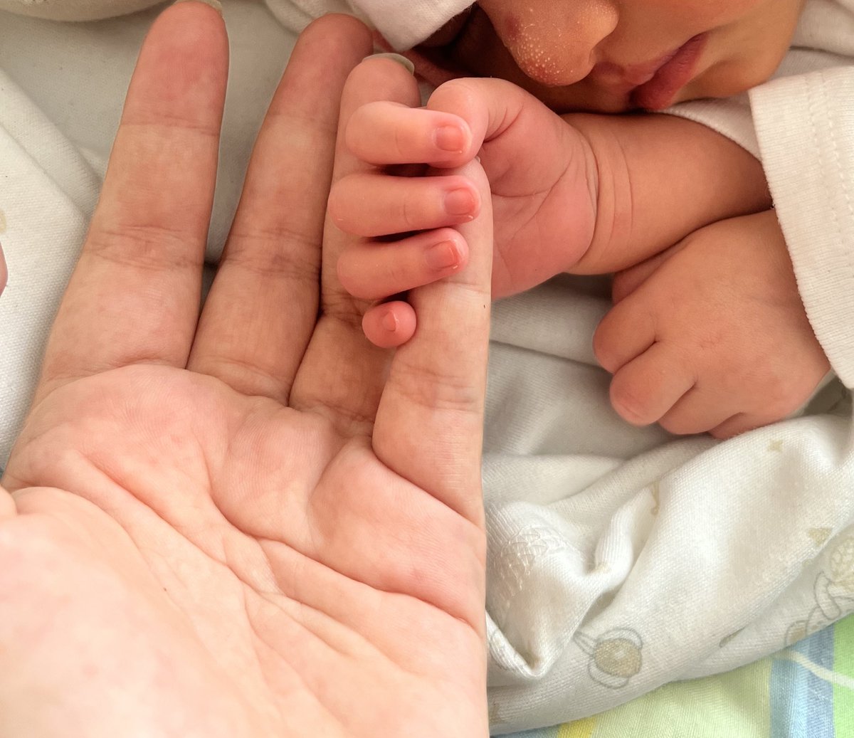 El 2025 nunca lo voy a olvidar porque me dio el mejor regalo de mi vida; a mi hija. ❤️