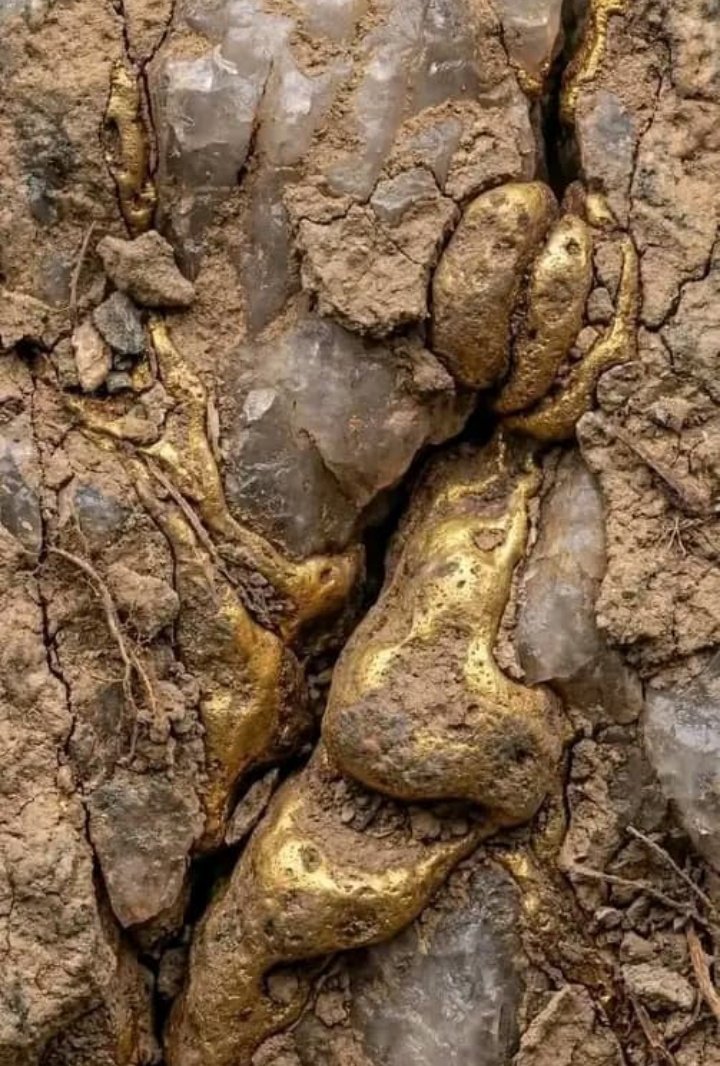 Rogers_Otii's tweet photo. Miners on my timeline hii inaezakuwa gold https://t.co/UUFv4ngfKJ
