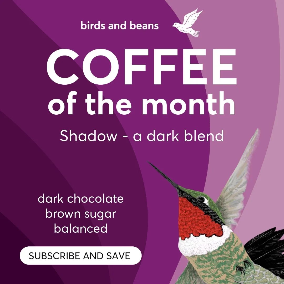Shadow is blended from 2 different roast profiles of our Bird Friendly Nicaraguan coffee from UCA San Juan del Río Coco. These biodiversity-rich lands help sustain forests and support wildlife... #BirdfriendlyCoffee