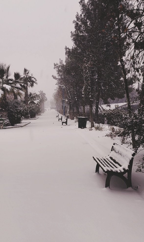 mathhteacherrr's tweet photo. Yılın çifti ve ❄️❄️ https://t.co/lFkIleJStN