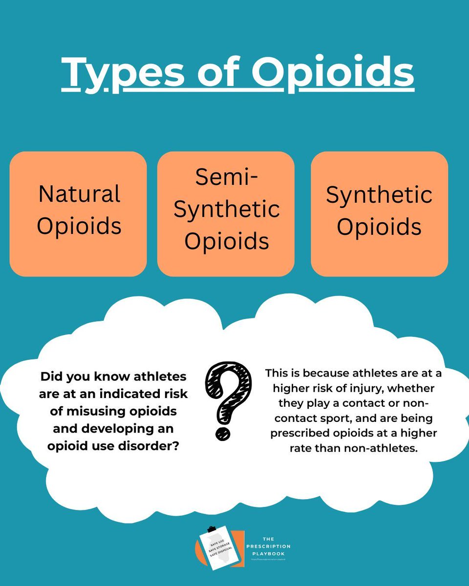 Happy National Trainers Day! 🏋️♀️📘 Today we celebrate the coaches and trainers who inspire, motivate, and lead by example. Check out our Coach’s Playbook, a free resource designed to support trainers in building strong, healthy, and confident athletes.