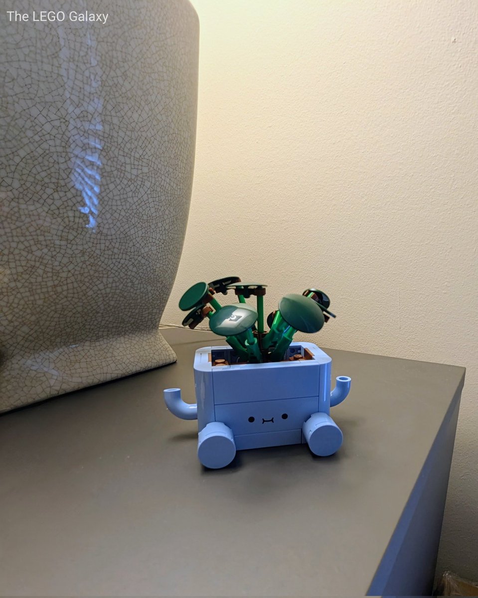 Progress shots while building the Happy Plants set (10349). (PLANT 2) This is such a cute set. It was a quick build but fun and relaxing. This will look great displayed.
#LEGO #AFOL #Toys #LEGOLife #Plants