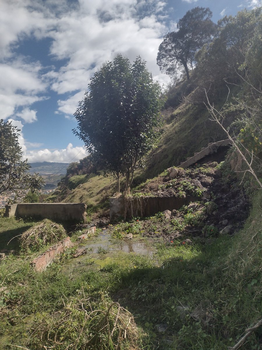 fallenmaster69's tweet image. amo #Colombia