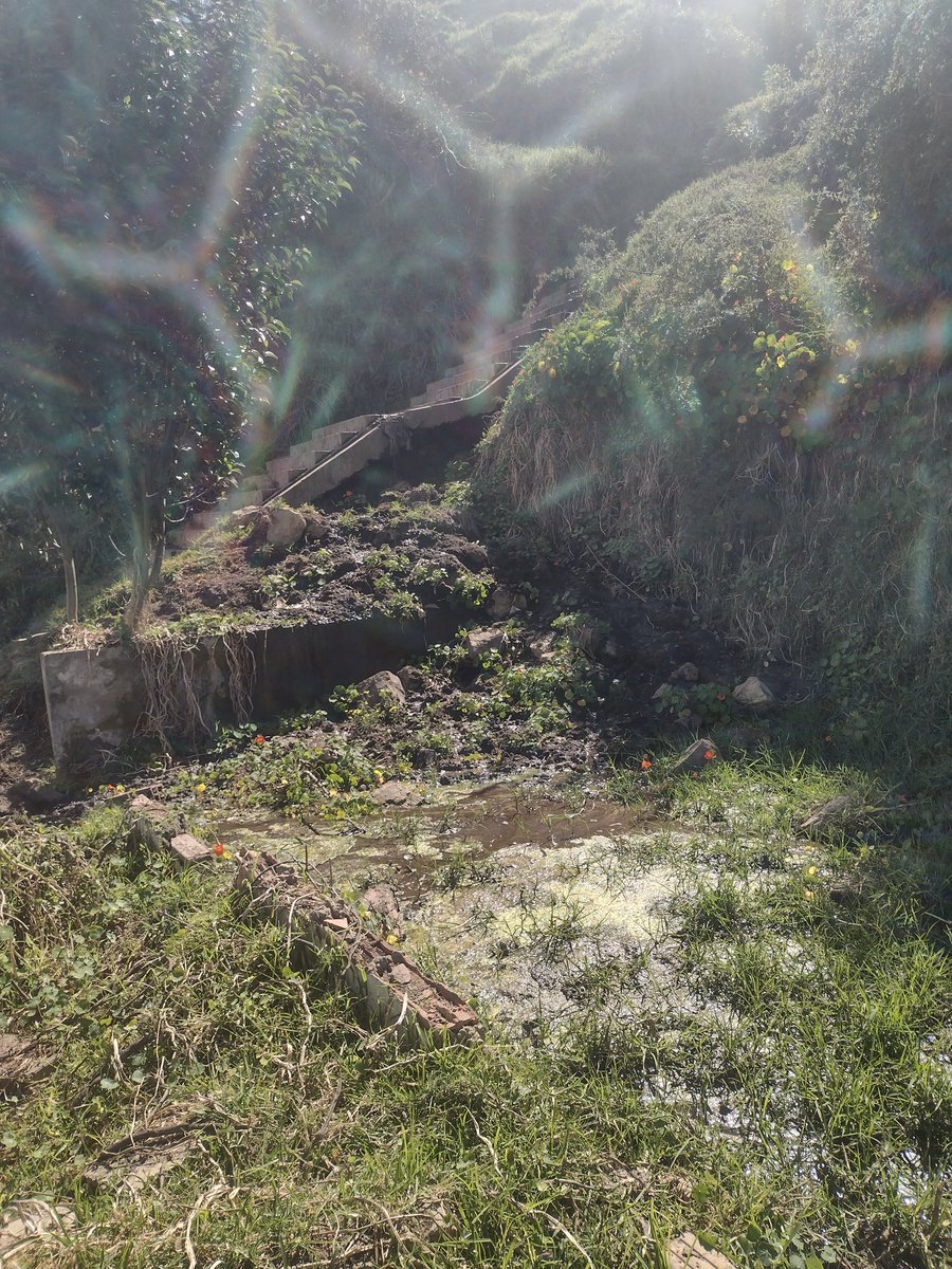 fallenmaster69's tweet image. amo #Colombia