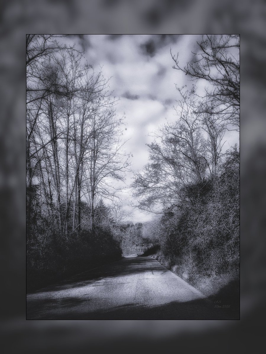 A_Sapphireh's tweet image. #pathway
📸A.S