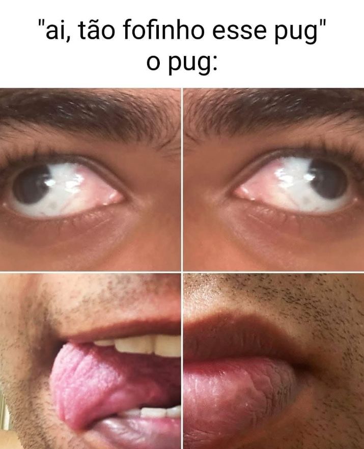 memes extremamente horríveis (ou bons) (@memes_horriveis) on Twitter photo 