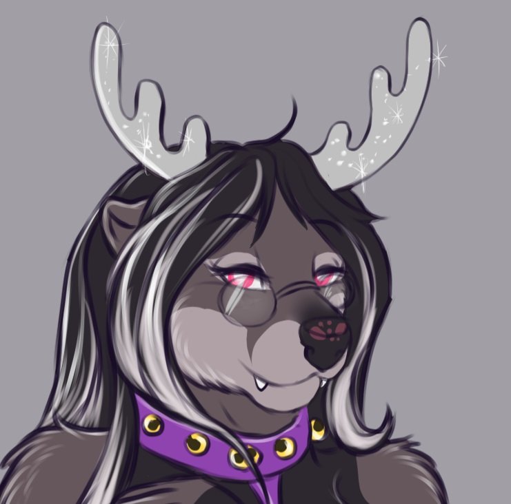 Rayntheotter's tweet photo. Rayn as reindeer
First xmas art of her made by Nautilusta on FA
#otter #furryfandom #fursona #furrycommunity https://t.co/F54JvXPXXh