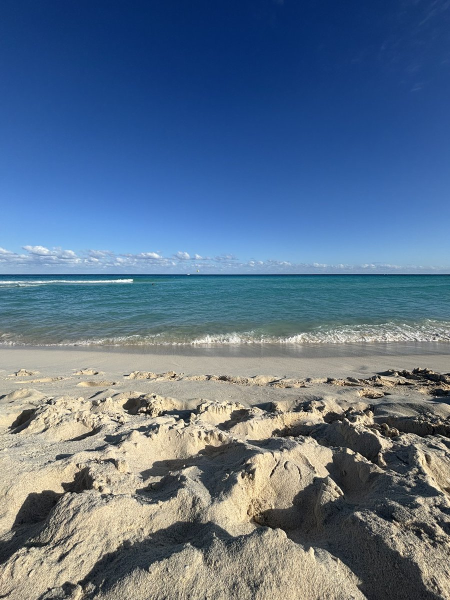 paz_graniel's tweet photo. El azul #CaribeMexicano siempre será mi tono de azul favorito 💙 https://t.co/WeIOsZr4iK