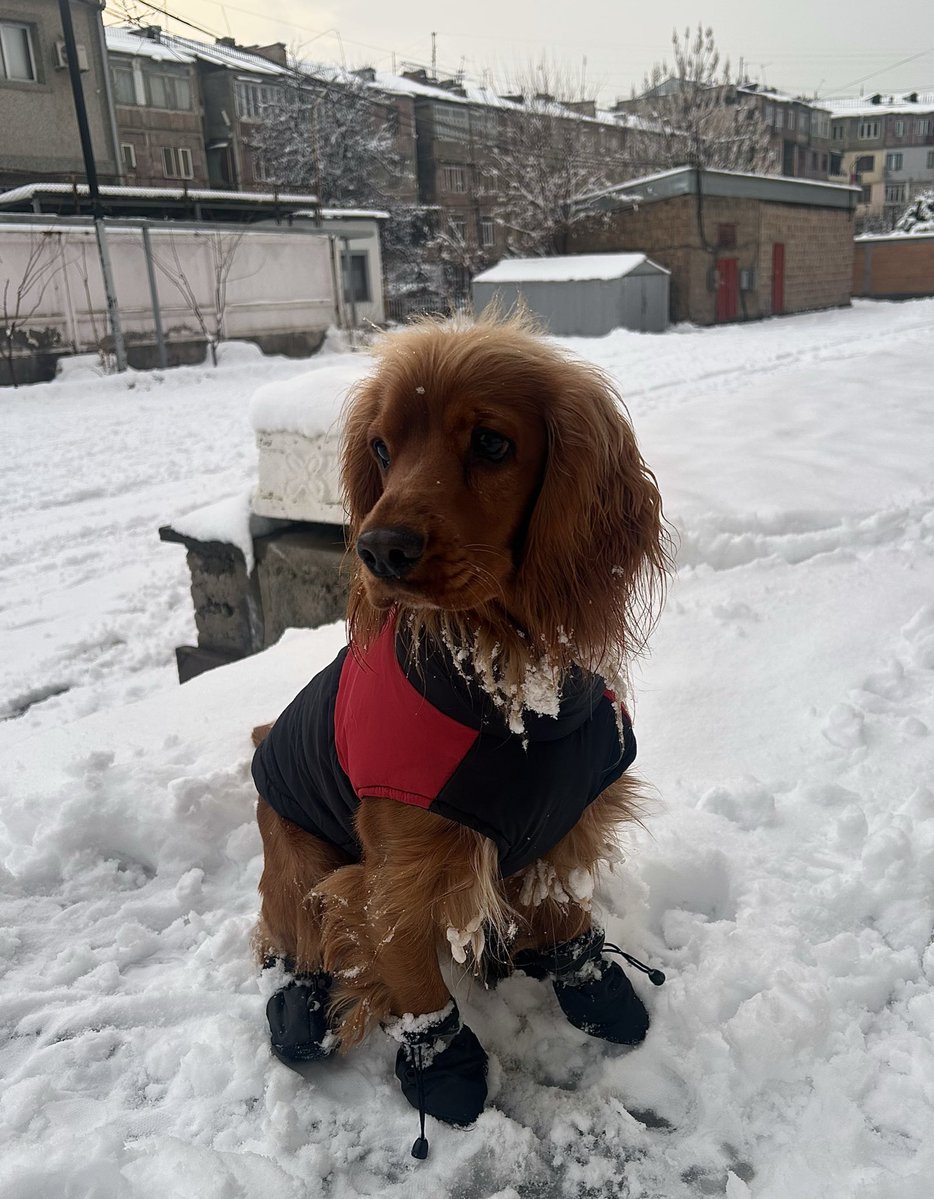 millushh's tweet image. my son 🤍