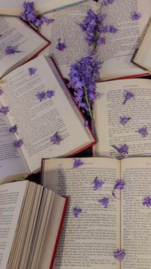 hypothesisliv's tweet image. 𓂃˖˚✧  livros lidos em 2026
                             ↳ a thread;

"Ler nos dá um lugar para ir quando precisamos ficar onde estamos."