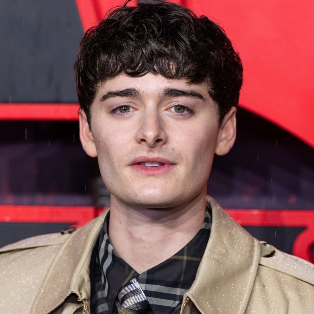 poponze's tweet image. Agora que encerrou Stranger Things, Noah Schnapp está oficialmente desempregado.