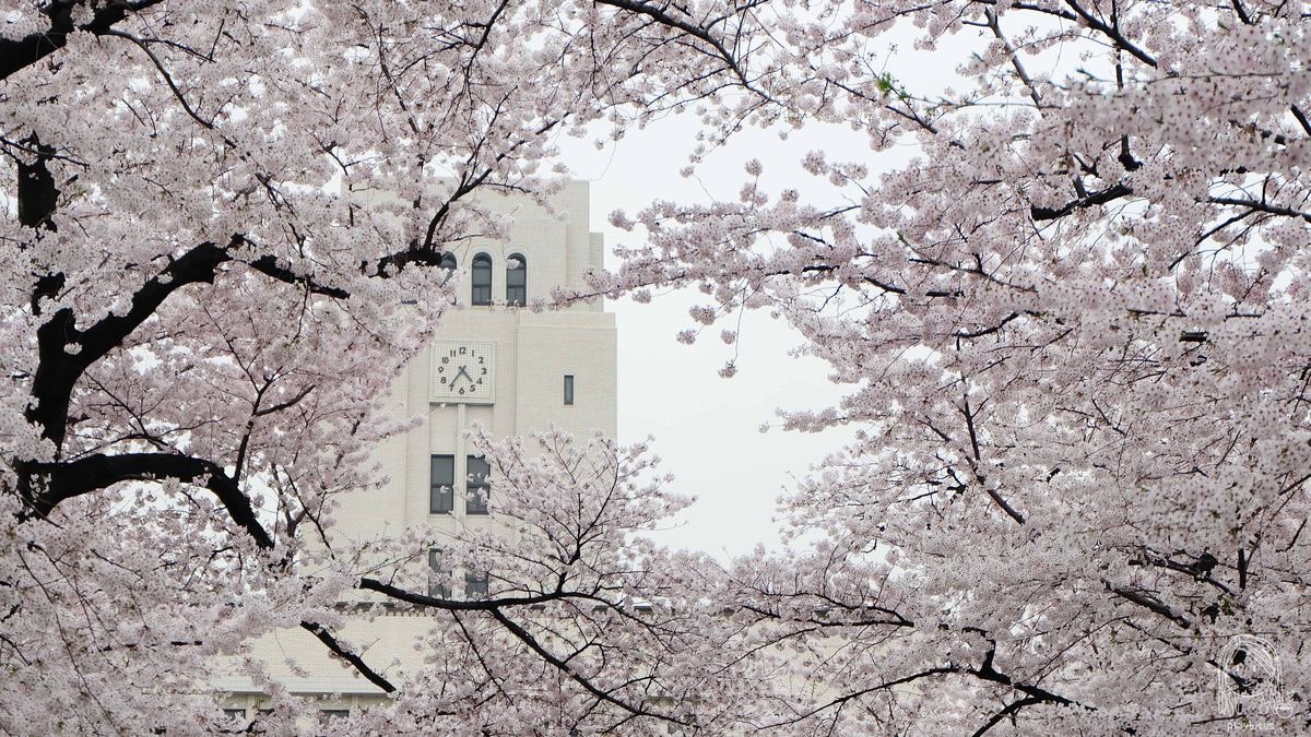 piinkimi_'s tweet image. 