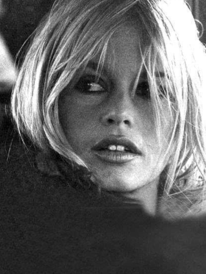 CLOSE-UP:

Brigitte Bardot.