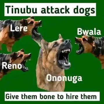 Keep Barking Peter  is coming.