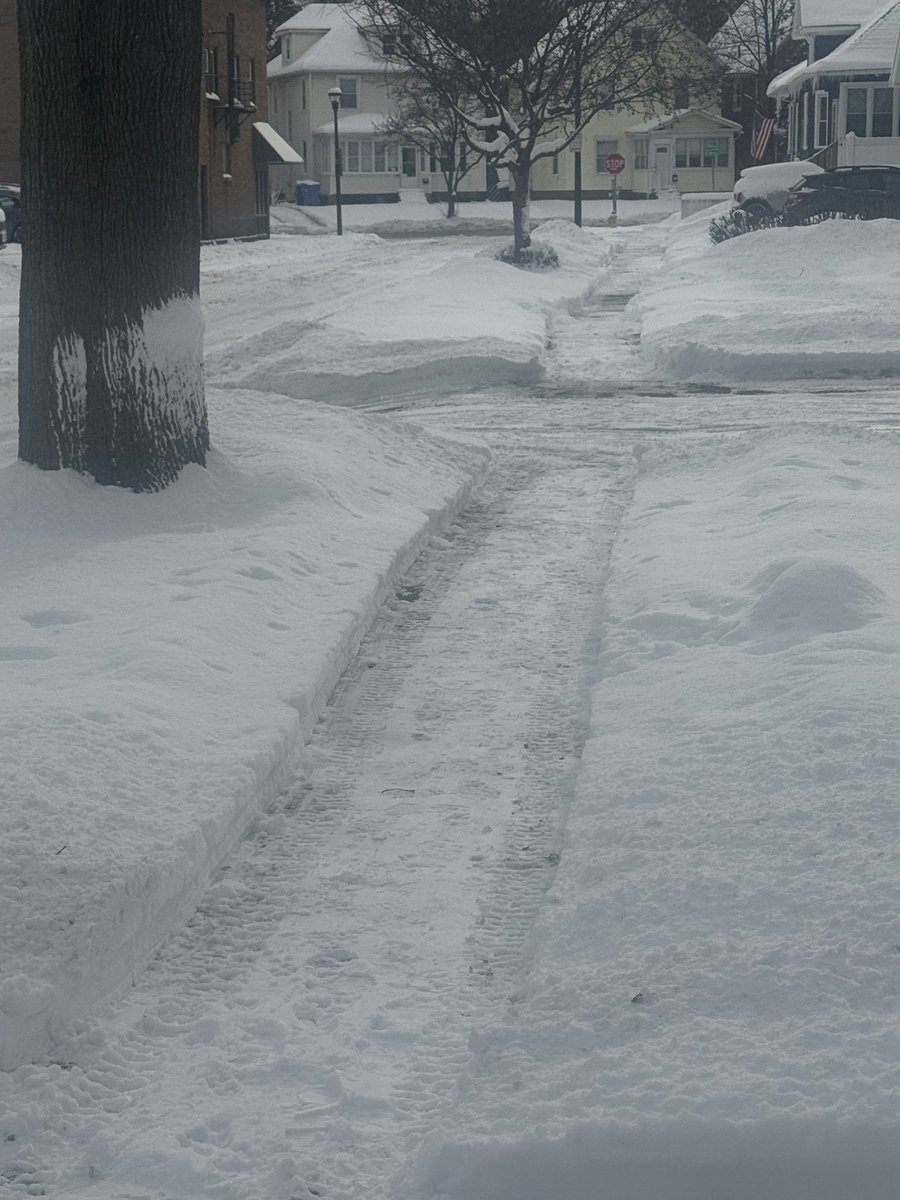 Rachel Barnhart tweet media