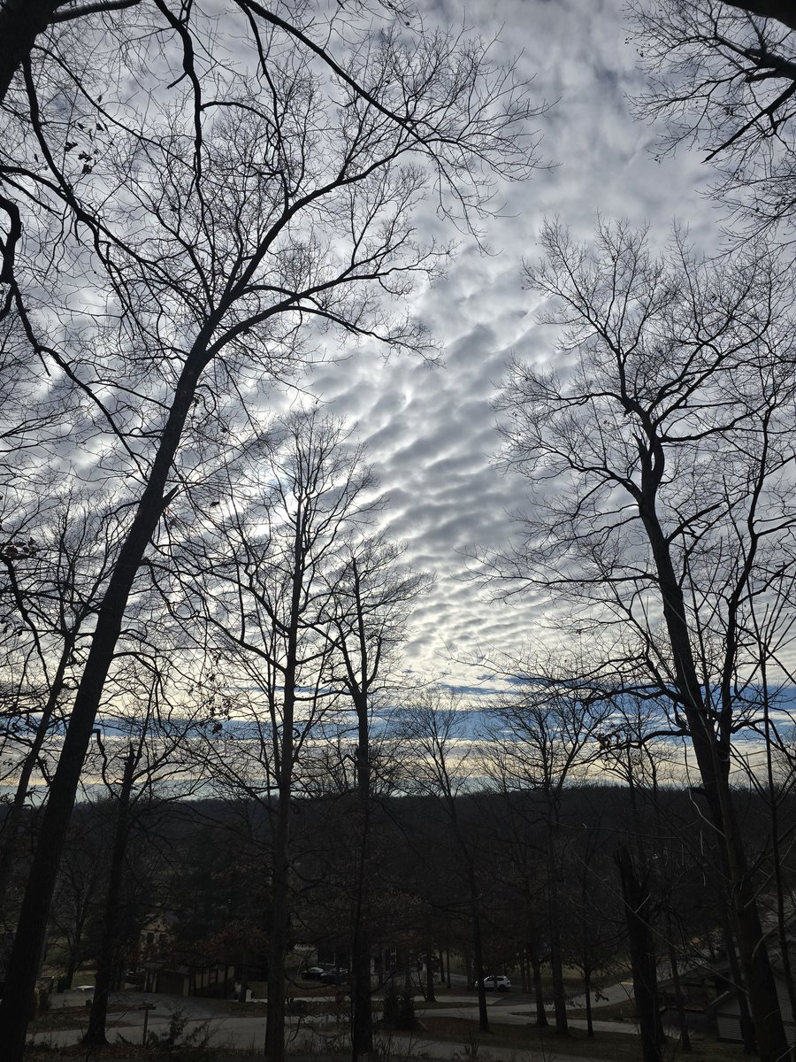 Hard to believe there are people who think this is normal...

<a href="/jesseRoss597206/">Jesse Lynn♥️</a> 
<a href="/Tboo211/">Babooschka</a>