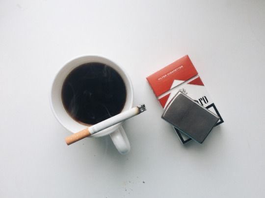 llpipi's tweet image. 