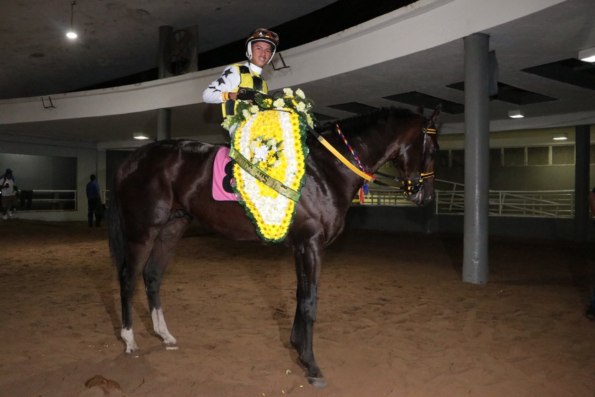 Dan Preiss tweet media