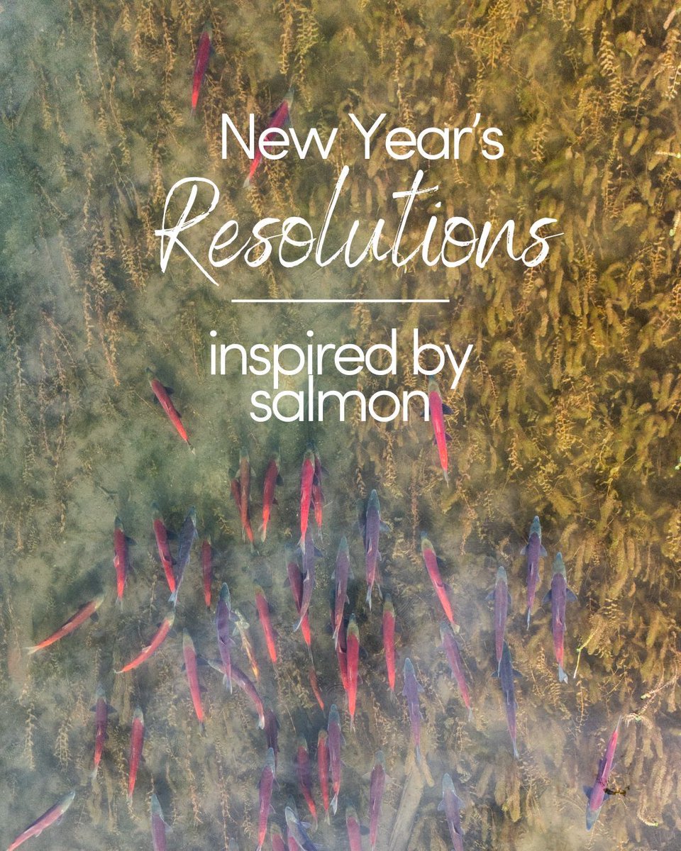 PACIFIC SALMON FOUNDATION tweet media