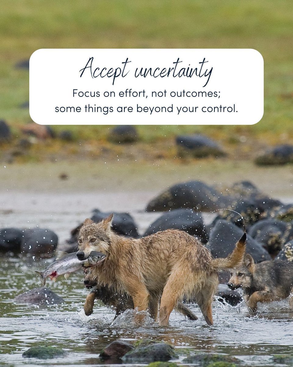 PACIFIC SALMON FOUNDATION tweet media